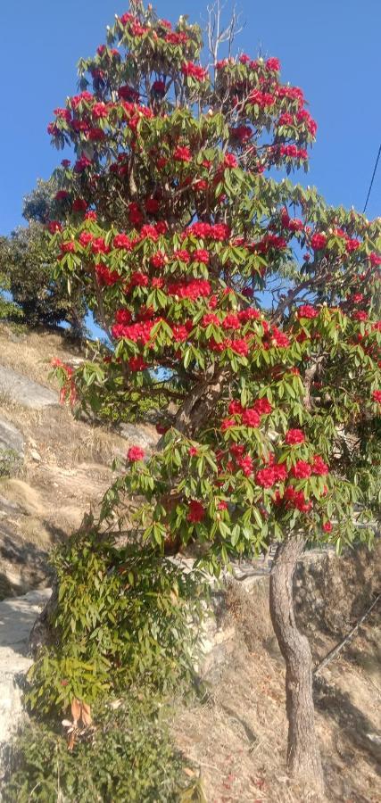 Chandarshila Hike Homestay Ukhimath Bagian luar foto