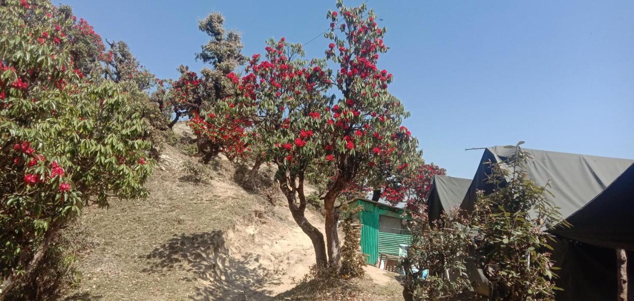 Chandarshila Hike Homestay Ukhimath Bagian luar foto
